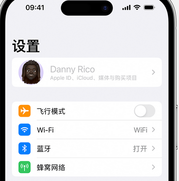 黄州appleID维修服务iPhone设置中Apple ID显示为灰色无法使用