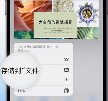 黄州apple维修中心分享iPhone文件应用中存储和找到下载文件