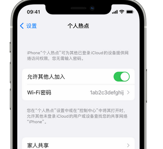 黄州apple服务站点分享iPhone上个人热点丢失了怎么办 