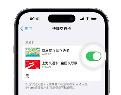 黄州apple维修点分享iPhone上更换Apple Pay快捷交通卡手绘卡面 