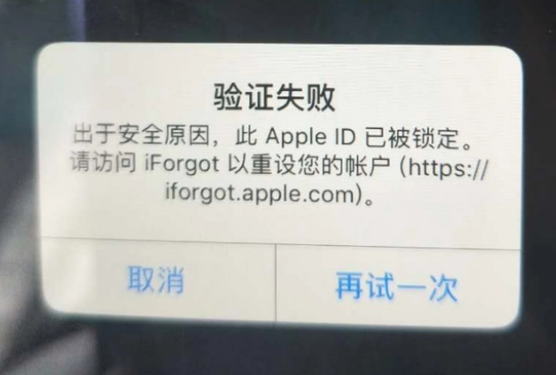 黄州iPhone维修分享iPhone上正常登录或使用AppleID怎么办 