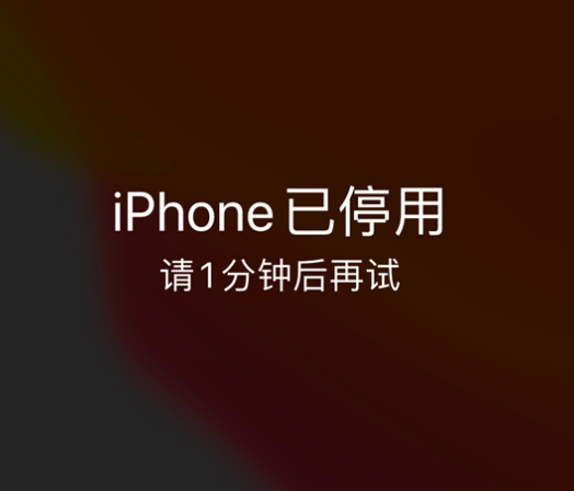 黄州苹果手机维修分享:iPhone 显示“不可用”或“已停用”怎么办？还能保留数据吗？ 