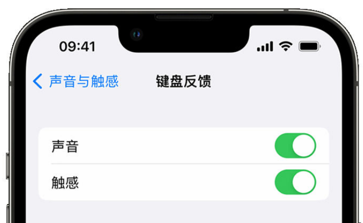 黄州苹果手机维修分享iPhone 14触感键盘使用方法 