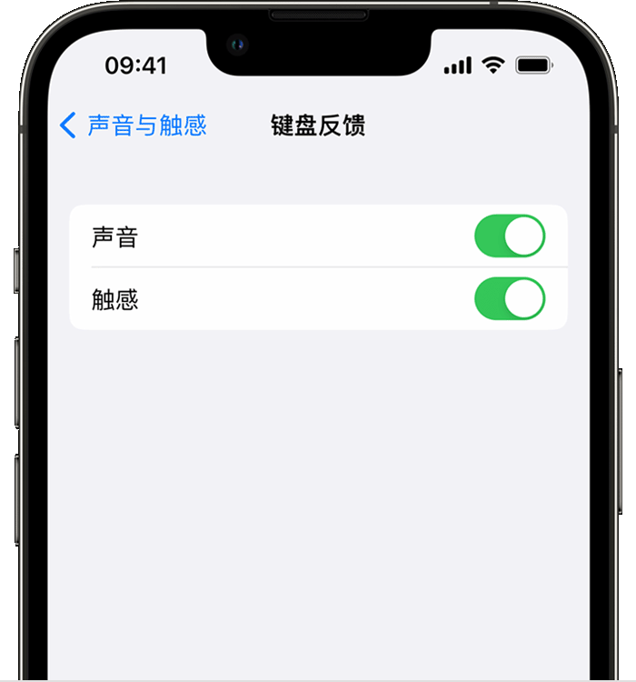 黄州苹果14维修店分享如何在 iPhone 14 机型中使用触感键盘 