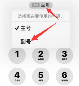 黄州苹果14维修店分享iPhone 14 Pro Max使用副卡打电话的方法 