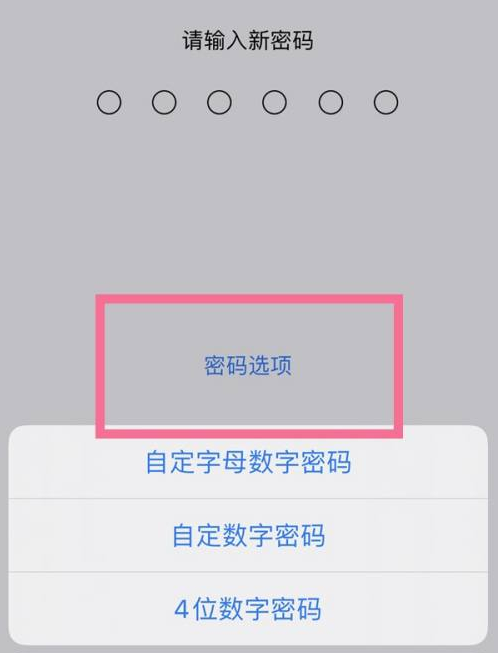 黄州苹果14维修分享iPhone 14plus设置密码的方法 