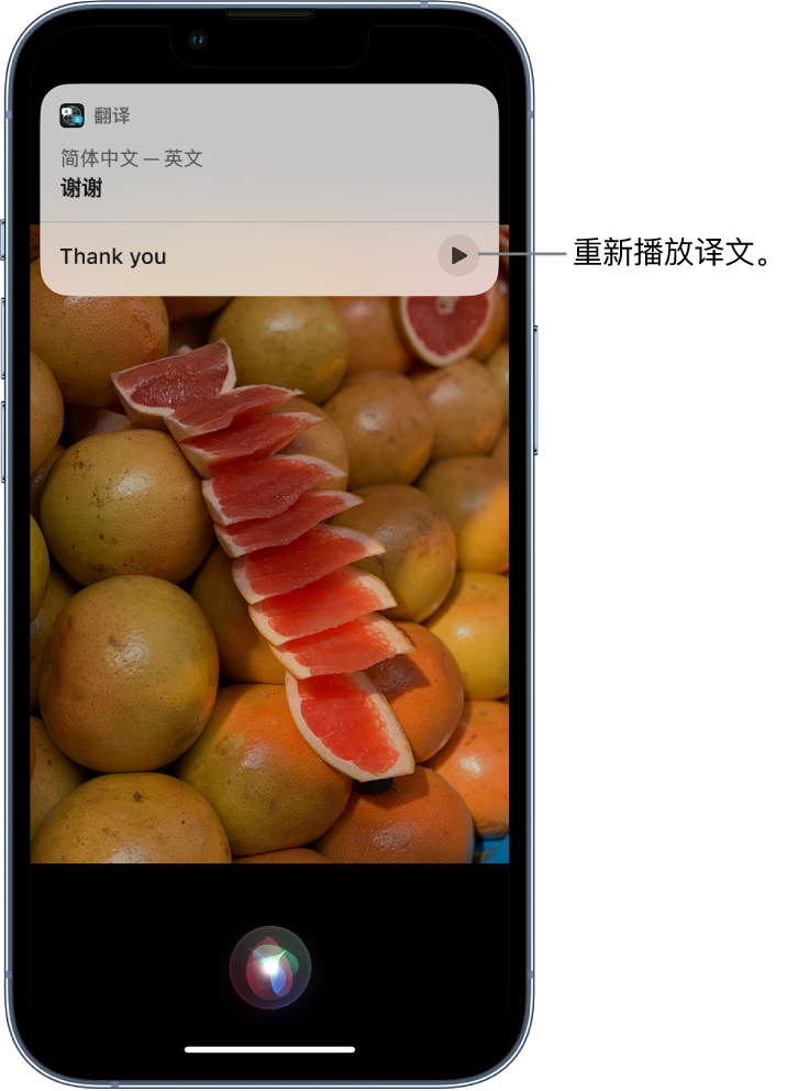 黄州苹果14维修分享 iPhone 14 机型中使用 Siri：了解 Siri 能帮你做什么 