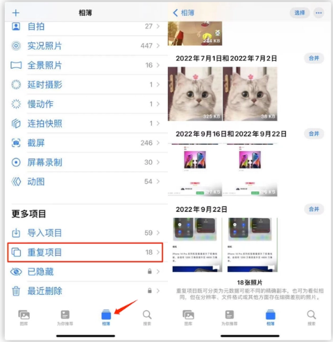 黄州苹果手机维修分享iOS 16 中相册重复项目功能使用方法 