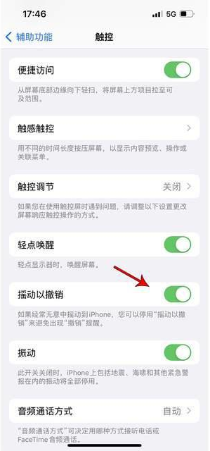 黄州苹果手机维修分享iPhone手机如何设置摇一摇删除文字 