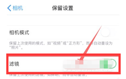 黄州苹果13维修分享iPhone13拍照有绿点是怎么回事 