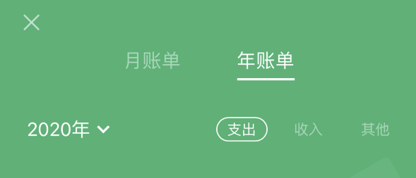 黄州苹果手机维修分享如何在 iPhone 上查看支付宝和微信年支出账单 